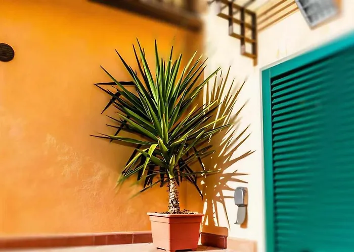 Advocata Nostra, Incontro Di Storia E Centralita 시에나