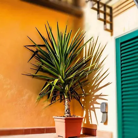 Advocata Nostra, Vivere In Nel Borgo Сиена